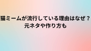 猫ミームが流行している理由はなぜ？元ネタや作り方も